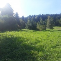 Działka budowlana 13,5a Zarabie