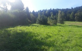 Działka budowlana 13,5a Zarabie