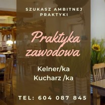 Praktyka zawodowa kucharz/ka i kelner/ka - Krzyszkowice