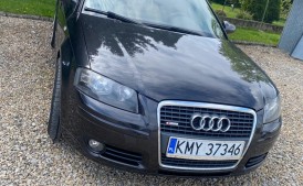 Audi a3 8p sline