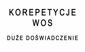 Korepetycje WOS online - duże doświadczenie!