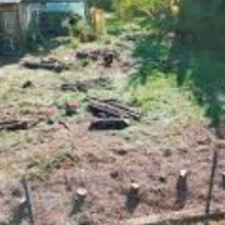 Sprzątanie działek