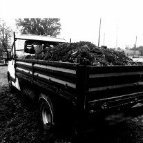 Transport wywrotka do 3.5 t