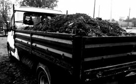 Transport wywrotka do 3.5 t