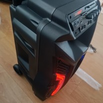 Głośnik bezprzewodowy manta spk 5031