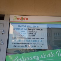 Świąteczna sprzedaż ryb (obok sklepu Rybka, ul. Ogrodowa) - Zapisy!