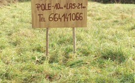 Okazja działka/pole z lasem blisko Krakowa domek przyczepa