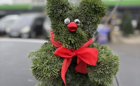 Miś niedźwiadek z jodły nowość