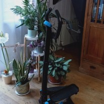 Stepper skrętny z kolumną