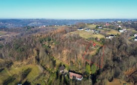 Widokowa 38 ar działka budowlano-leśna w Krzyszkowicach