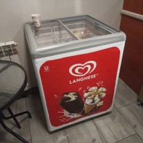 Zamrażarka algida 60 cm