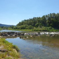 Przepiękny ogródek działkowy (3ar) Myślenice – ROD „Porabie”