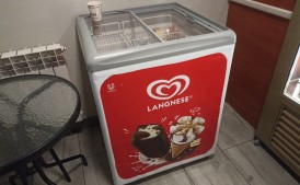 Zamrażarka algida 60 cm