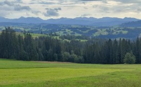 Ogłoszenie o zainteresowaniu zakupem gruntów leśnych  oraz gruntów do zalesienia