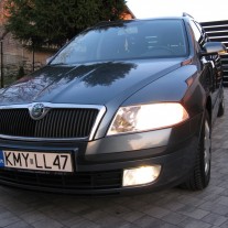 Skoda Octavia Kombi 1.9 TDI 105KM Oferta Prywatna