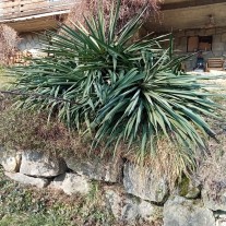 Oddam juki – do samodzielnego wykopania