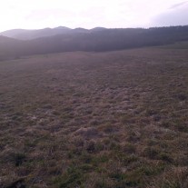 Działka rolno-budowlana Lubień