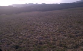 Działka rolno-budowlana Lubień