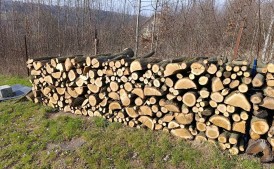 Drewno opałowe, kominkowe twarde dąb