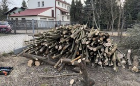 Oddam drewno po wycince drzew
