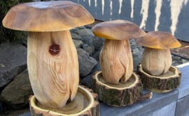 Grzyb prezent prawdziwek karmnik drewniany