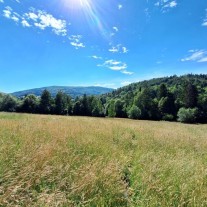 Kupie działkę budowlaną - Krzyszkowice, Siepraw, Zakliczyn, Borzęta, Czechówka