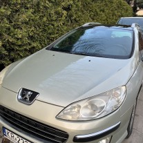 Peugeot 407sw