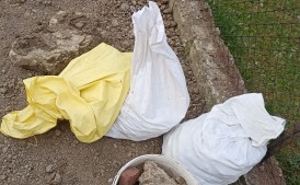 gruz kamienie za darmo