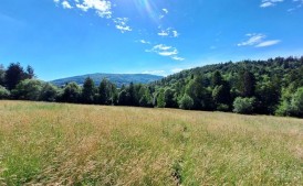 Kupie działkę budowlaną - Krzyszkowice, Siepraw, Zakliczyn, Borzęta, Czechówka