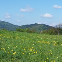 Słoneczna, wszystkomająca, klimatyczna i widokowa działka budowlana: 930 m2