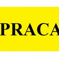 Praca - malowanie, szpachlowani, tynkowanie.