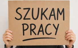 Szukam pracy