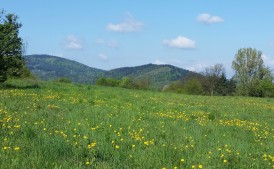 Słoneczna, wszystkomająca, klimatyczna i widokowa działka budowlana: 930 m2
