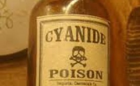 cyjanek, nembutal, opioidy, farxiga, botoks, fentanyl, kokaina, trazodon, metadon, wkładki Consentyx, naproksen, viagra, otezla, mefedron, tramadol, biskorycyna, ofcipene, ciplox