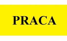 Praca - malowanie, szpachlowani, tynkowanie.