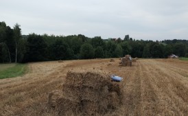 Słoma
