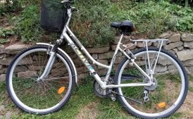 Rower damski Active Country Pro