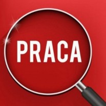 📢szukam pracy 📢