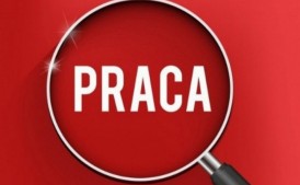 📢szukam pracy 📢