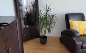Wynajmę mieszkanie 2 pokojowe w Myślenicach Osiedle Tysiąclecia