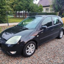 Ford Fiesta MK5 1.25 BENZYNA