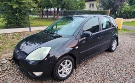 Ford Fiesta MK5 1.25 BENZYNA
