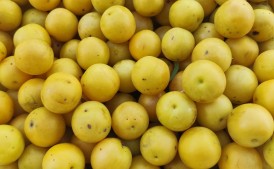 Owoce mirabelki