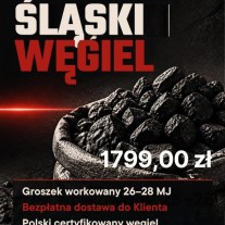 POLSKI WĘGIEL GROSZEK - NISKI POPIÓŁ, WYSOKA KALORYCZNOŚĆ